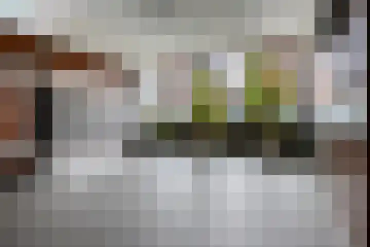 Statenlaan 343 's-Hertogenbosch thumbnail 7
