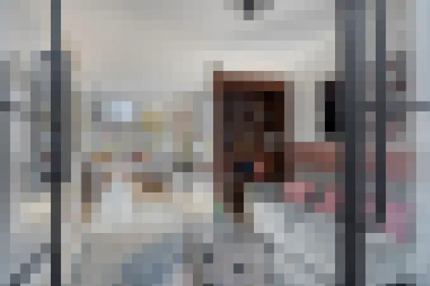 Statenlaan 35 Geertruidenberg thumbnail 10