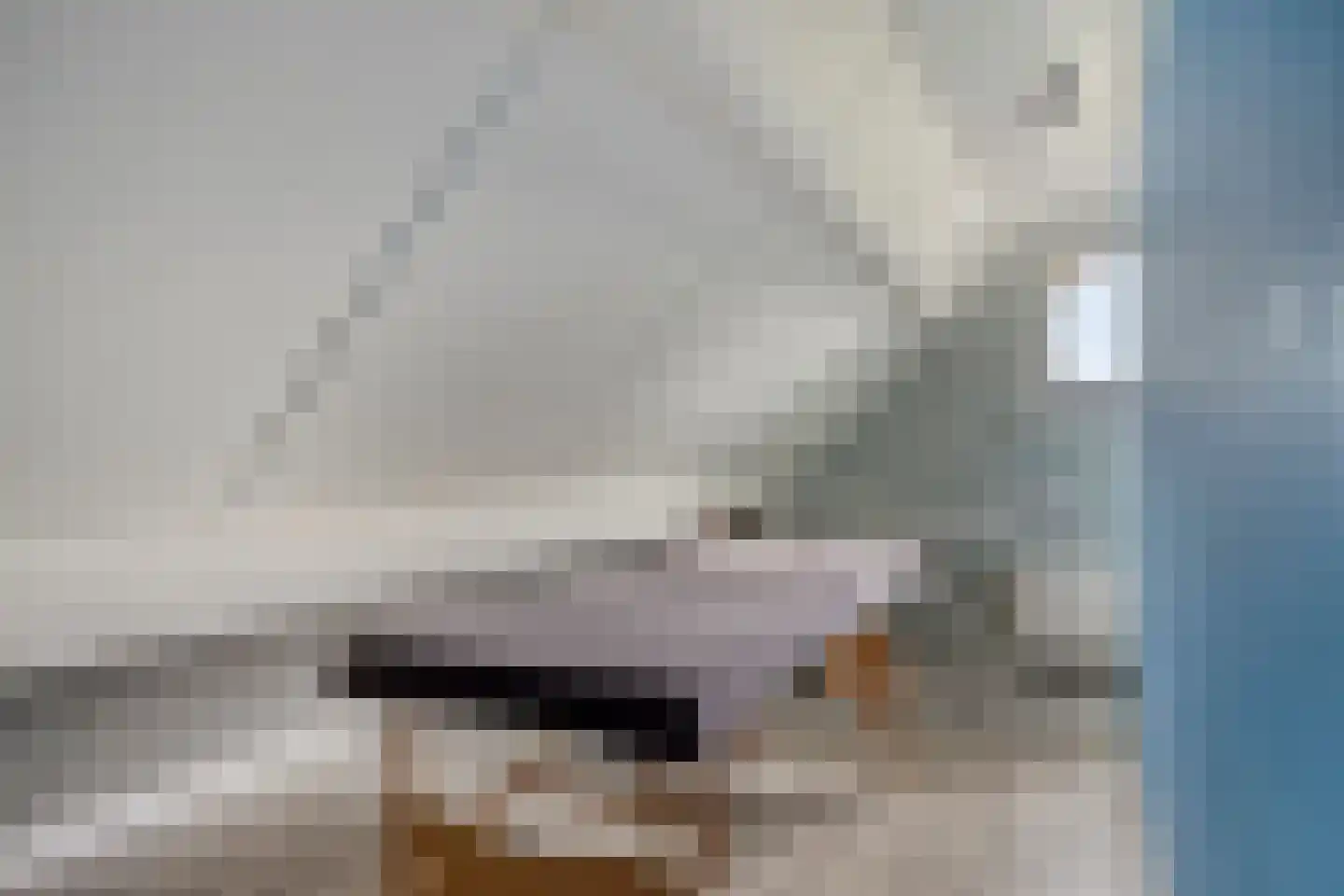 Statenlaan 35 Geertruidenberg thumbnail 40