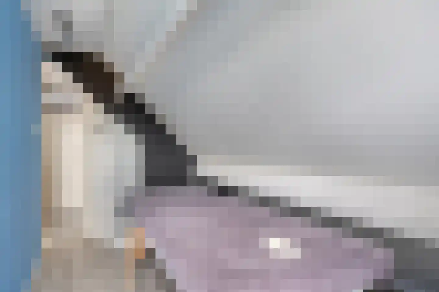 Statenlaan 35 Geertruidenberg thumbnail 41