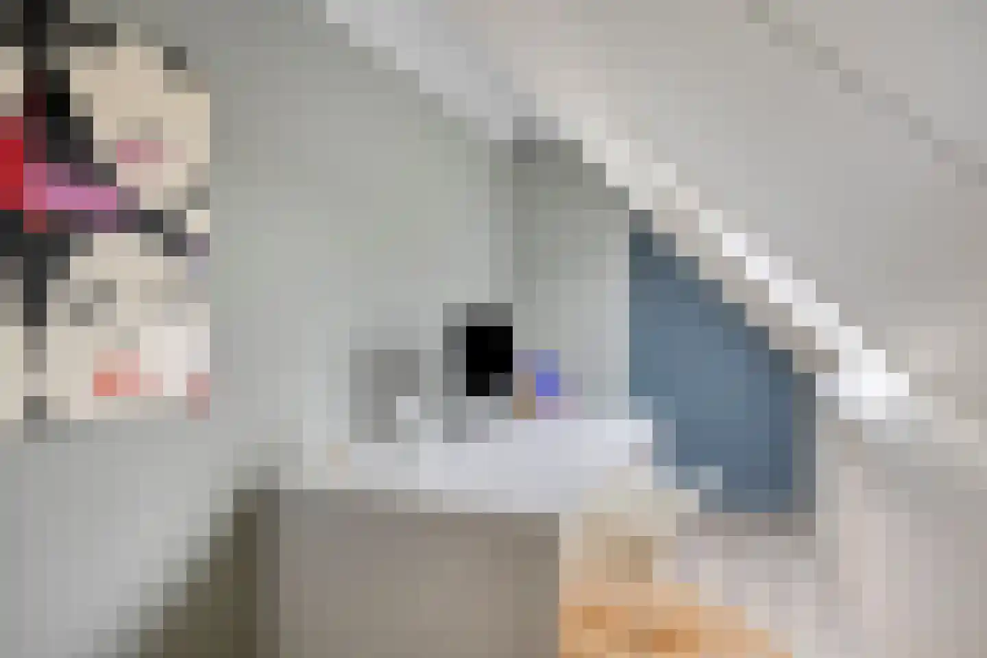 Statenlaan 35 Geertruidenberg thumbnail 43