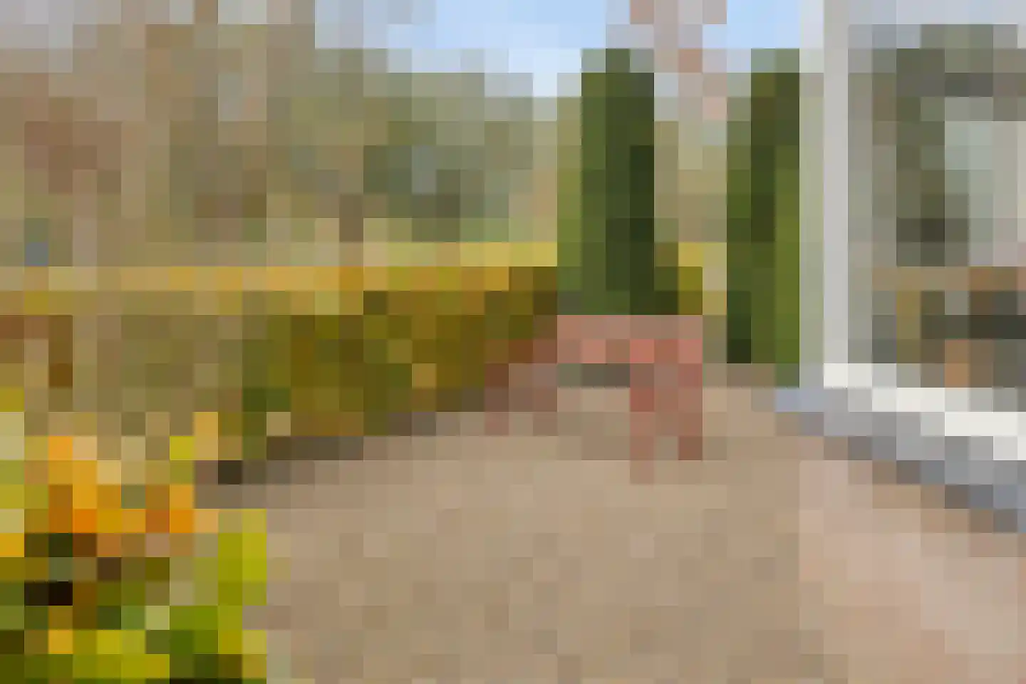 Statenlaan 35 Geertruidenberg thumbnail 48