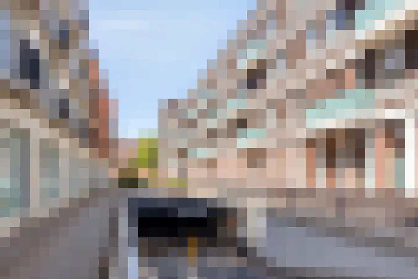 Statenlaan 357 's-Hertogenbosch thumbnail 25
