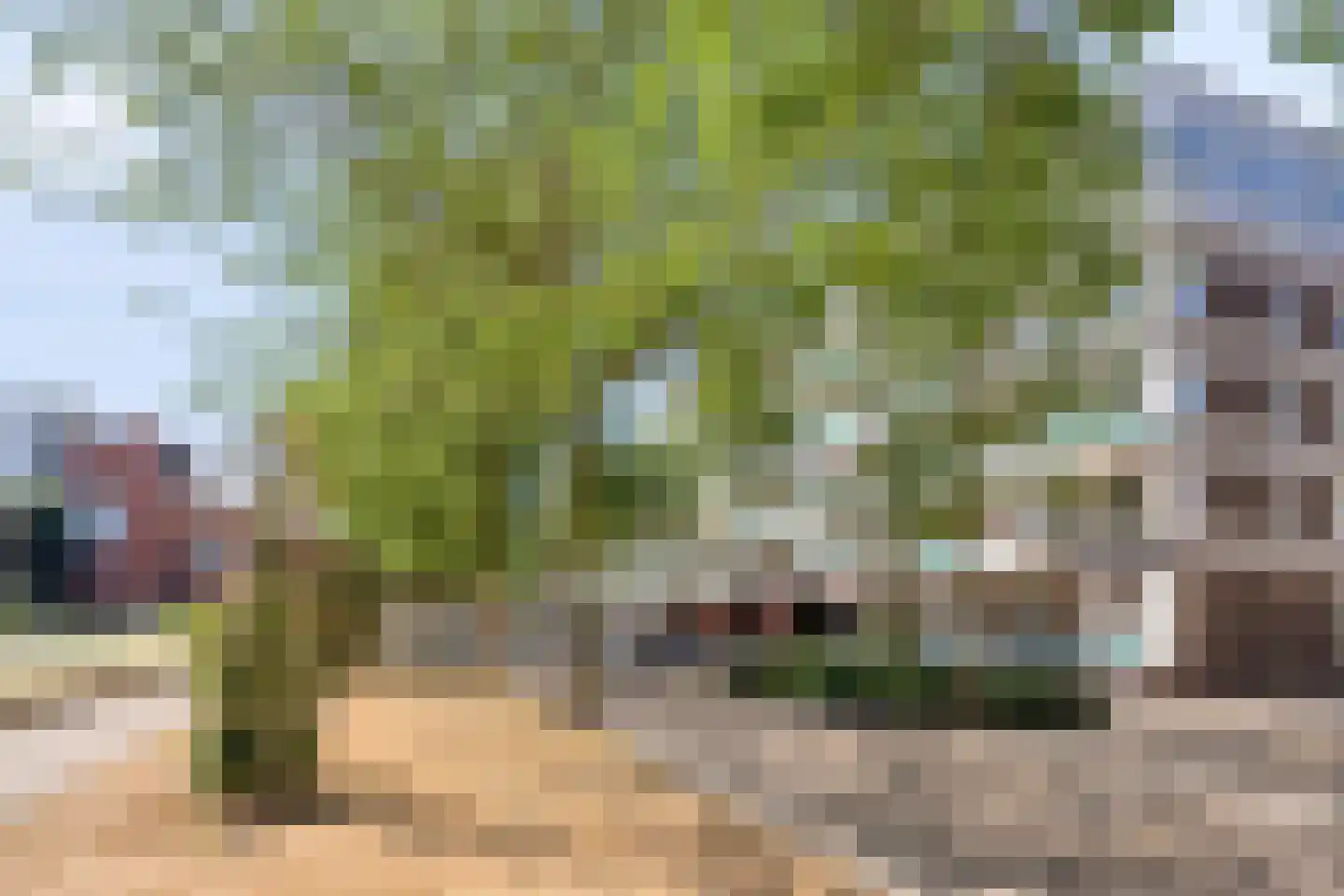 Statenlaan 357 's-Hertogenbosch thumbnail 27