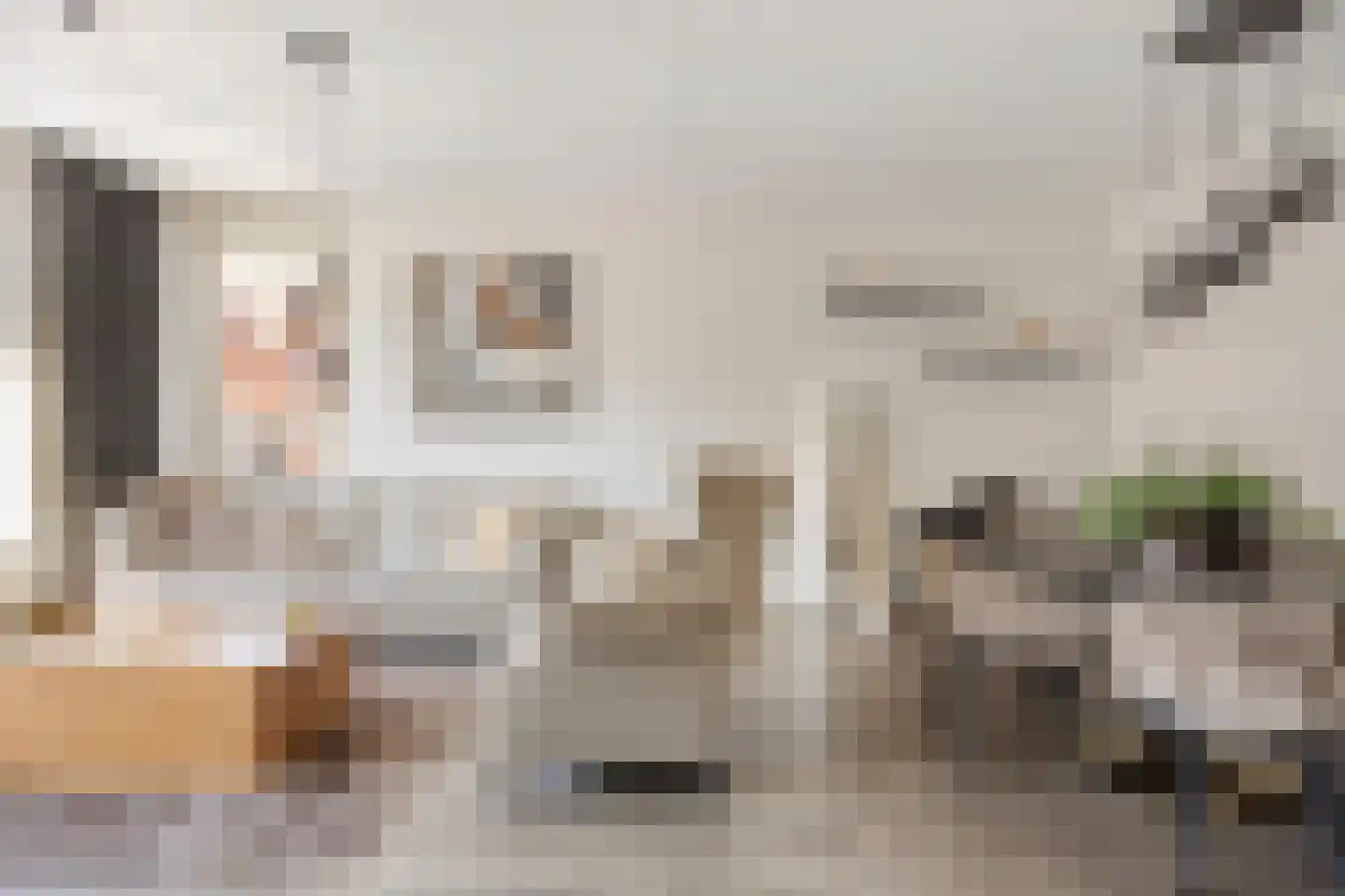 Statenlaan 357 's-Hertogenbosch thumbnail 7