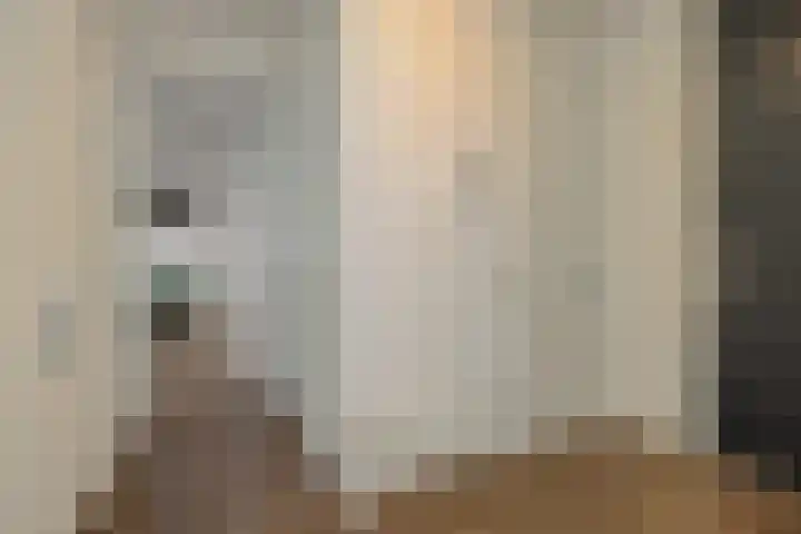Statenlaan 365 's-Hertogenbosch thumbnail 11