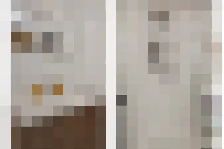 Statenlaan 365 's-Hertogenbosch thumbnail 17