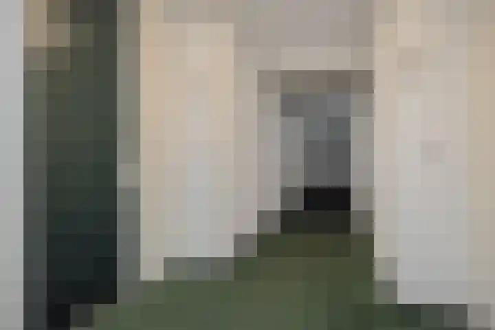 Statenlaan 365 's-Hertogenbosch thumbnail 19