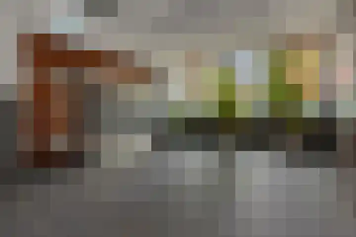 Statenlaan 365 's-Hertogenbosch thumbnail 20