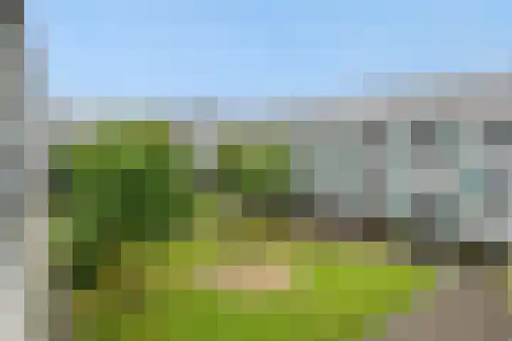 Statenlaan 365 's-Hertogenbosch thumbnail 23