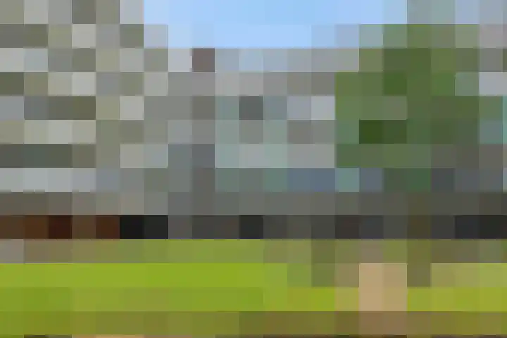 Statenlaan 365 's-Hertogenbosch thumbnail 24