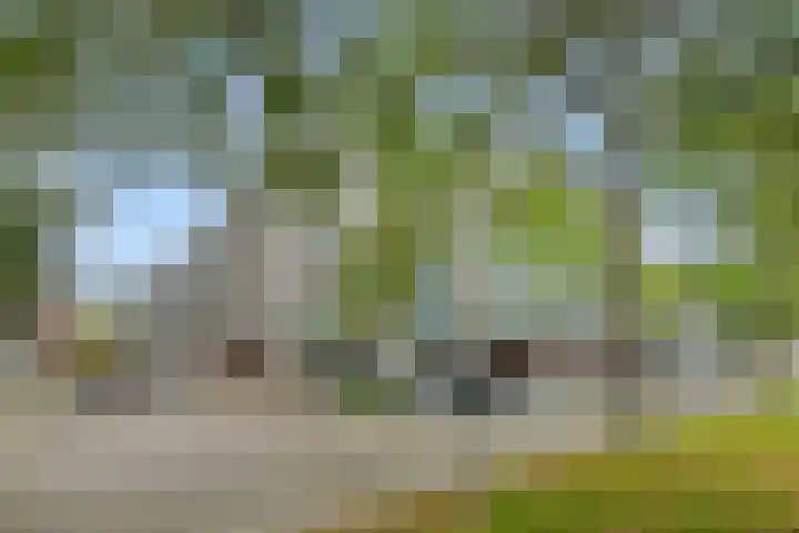 Statenlaan 365 's-Hertogenbosch thumbnail 26