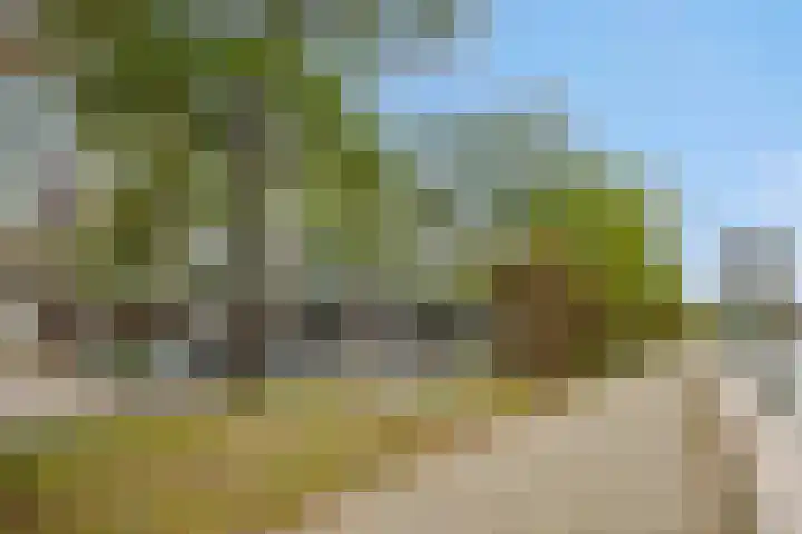 Statenlaan 365 's-Hertogenbosch thumbnail 27