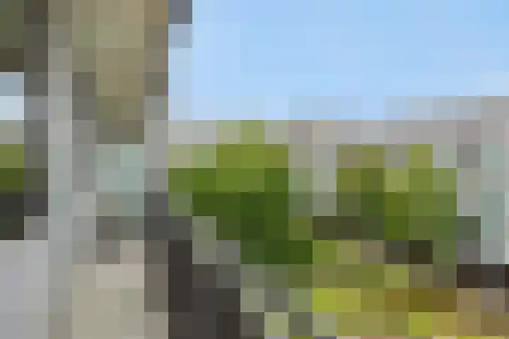 Statenlaan 365 's-Hertogenbosch thumbnail 5