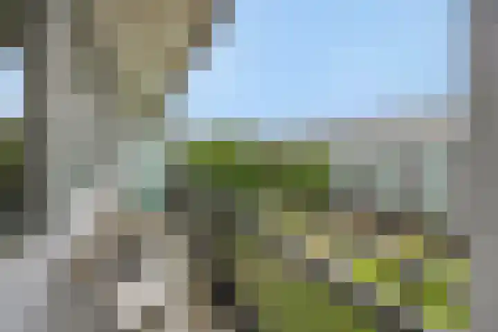 Statenlaan 365 's-Hertogenbosch thumbnail 6