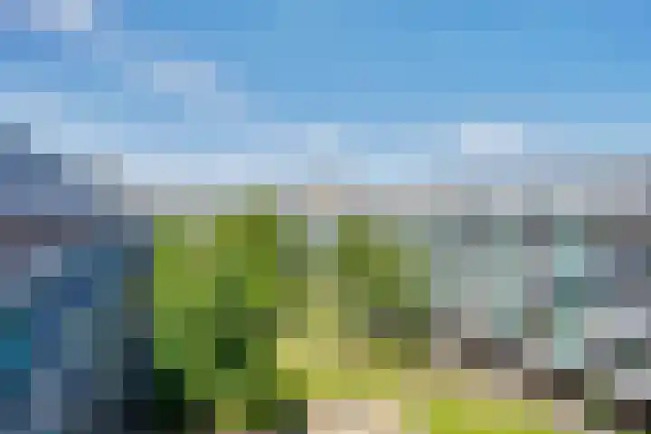 Statenlaan 387 's-Hertogenbosch thumbnail 20