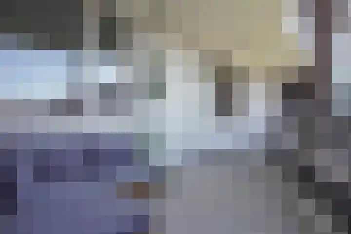 Statenlaan 387 's-Hertogenbosch thumbnail 33