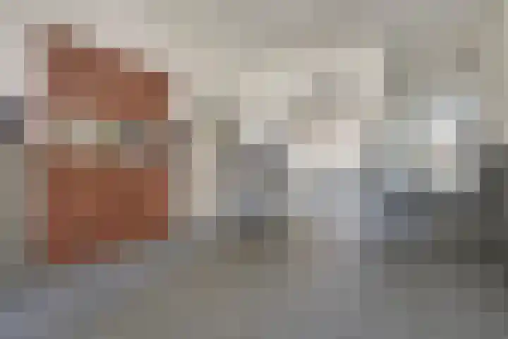 Statenlaan 387 's-Hertogenbosch thumbnail 34