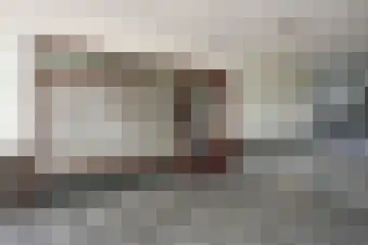 Statenlaan 387 's-Hertogenbosch thumbnail 35
