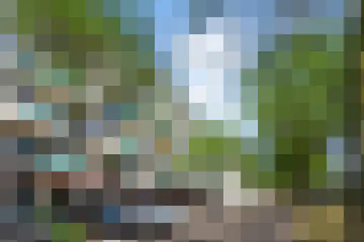 Statenlaan 387 's-Hertogenbosch thumbnail 38