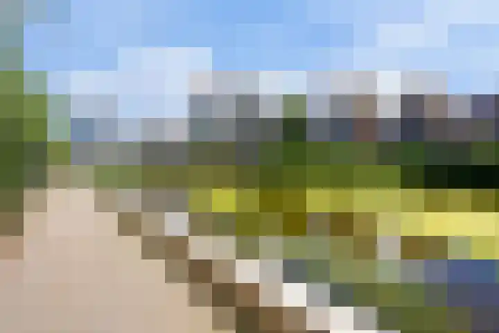 Statenlaan 387 's-Hertogenbosch thumbnail 40