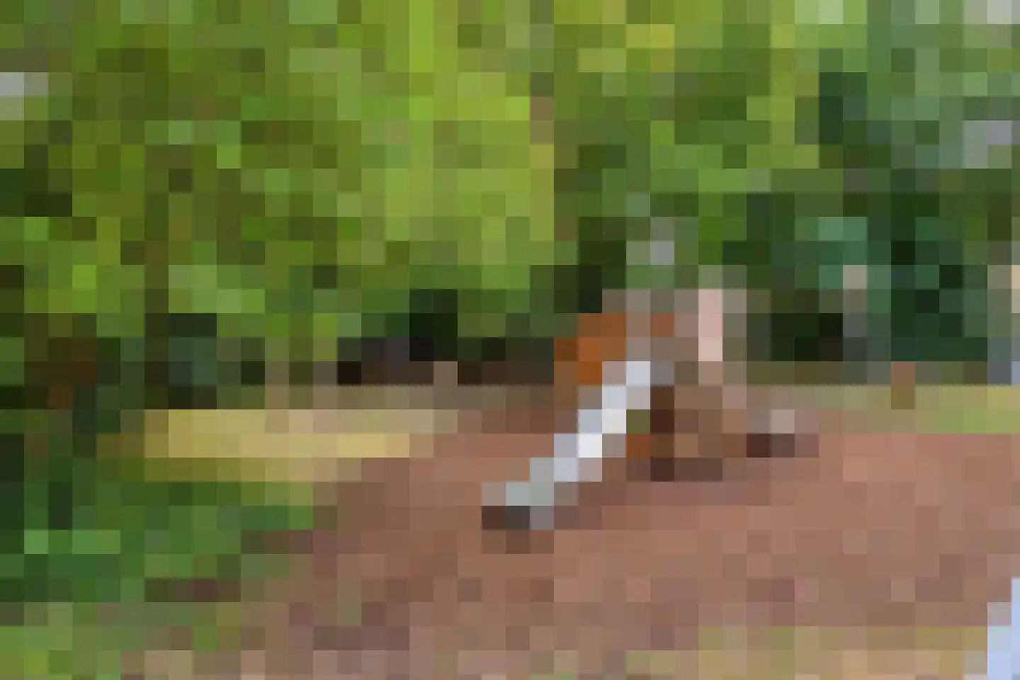 Statenlaan 39 Arnhem thumbnail 33