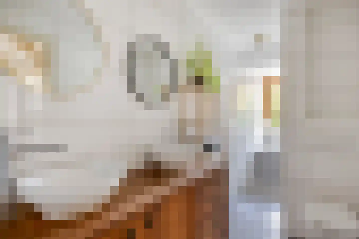 Statenlaan 39 Arnhem thumbnail 5