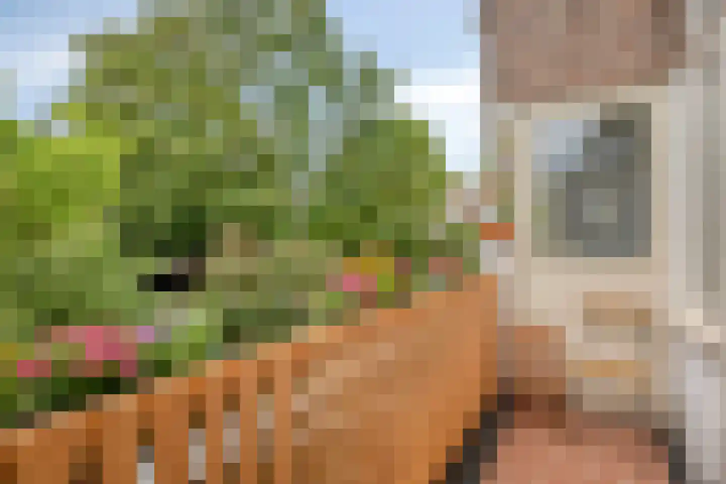 Statenlaan 39 Arnhem thumbnail 6