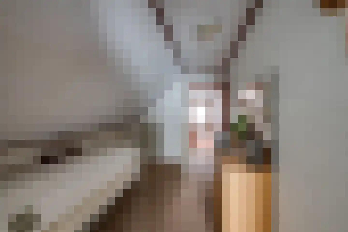 Statenlaan 4 Rijen thumbnail 36