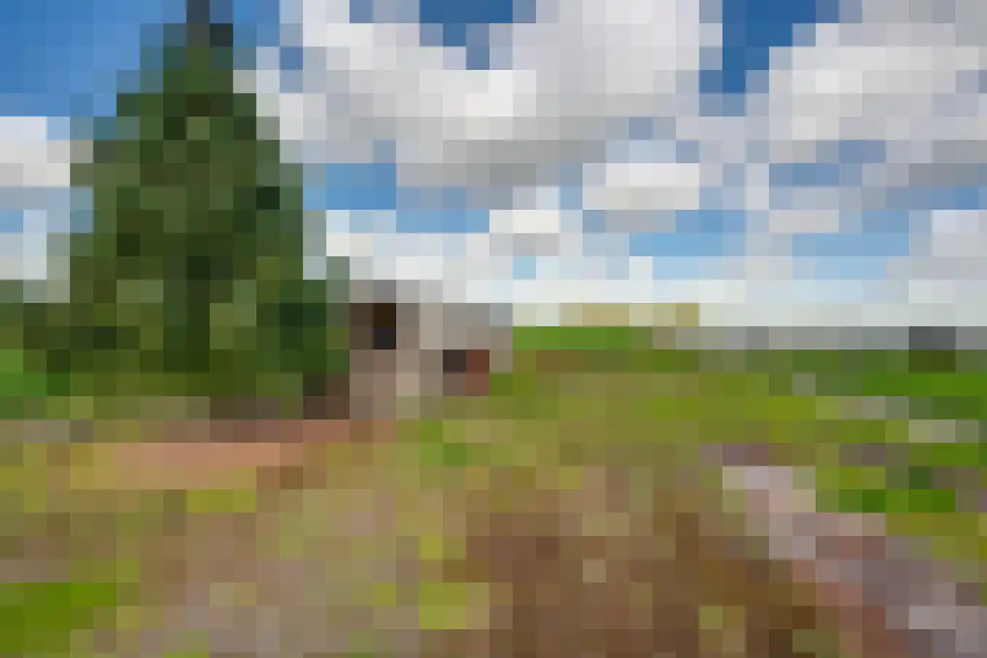 Statenlaan 4 Rijen thumbnail 52