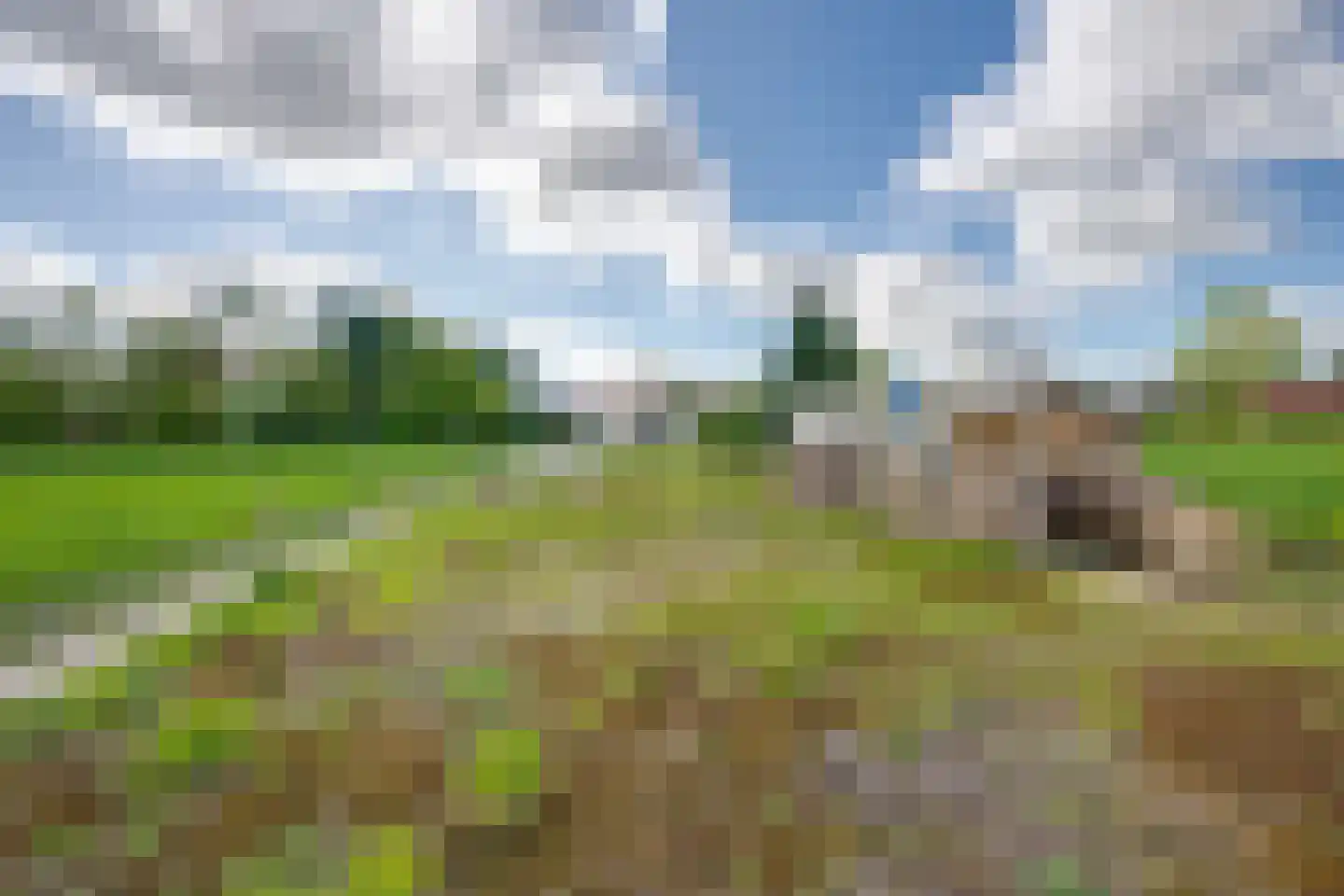 Statenlaan 4 Rijen thumbnail 70