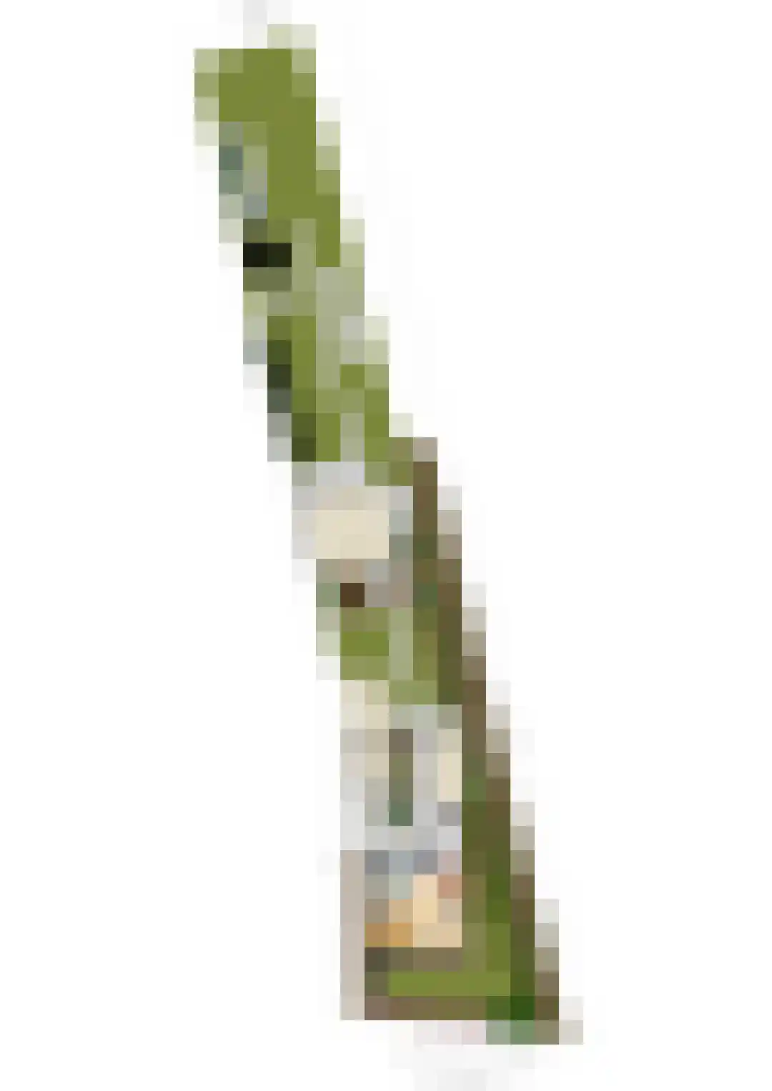 Statenlaan 4 Rijen thumbnail 71