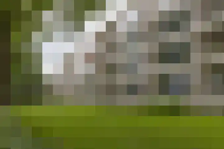 Statenlaan 41 Arnhem thumbnail 20