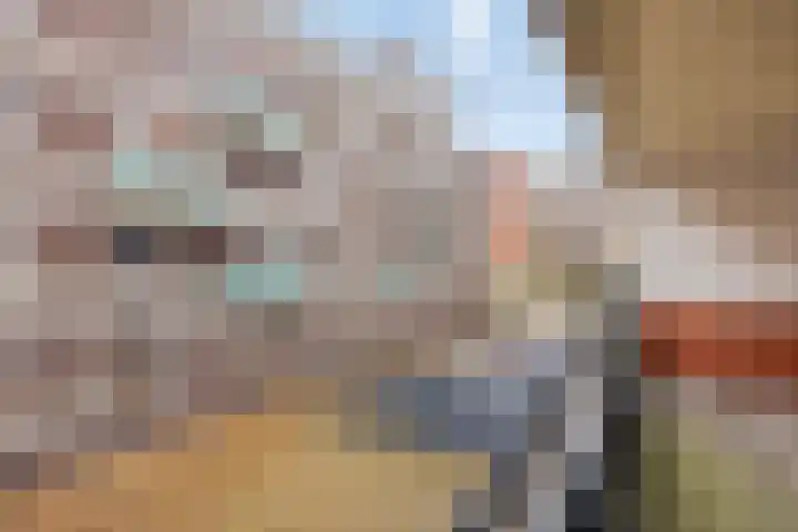 Statenlaan 411 's-Hertogenbosch thumbnail 11
