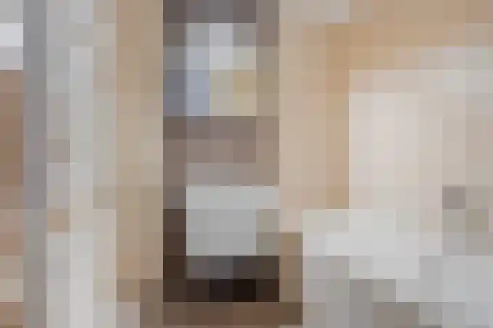 Statenlaan 411 's-Hertogenbosch thumbnail 13
