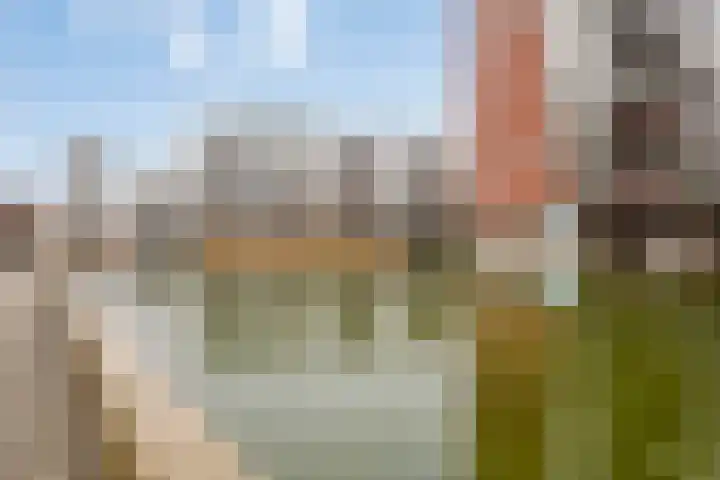 Statenlaan 411 's-Hertogenbosch thumbnail 28
