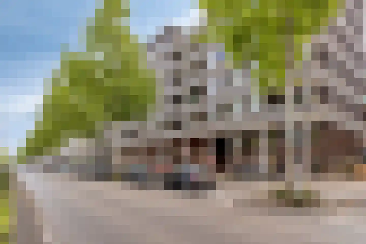 Statenlaan 419 's-Hertogenbosch thumbnail 23