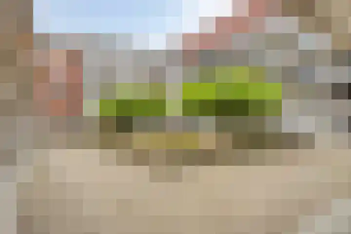 Statenlaan 427 's-Hertogenbosch thumbnail 21