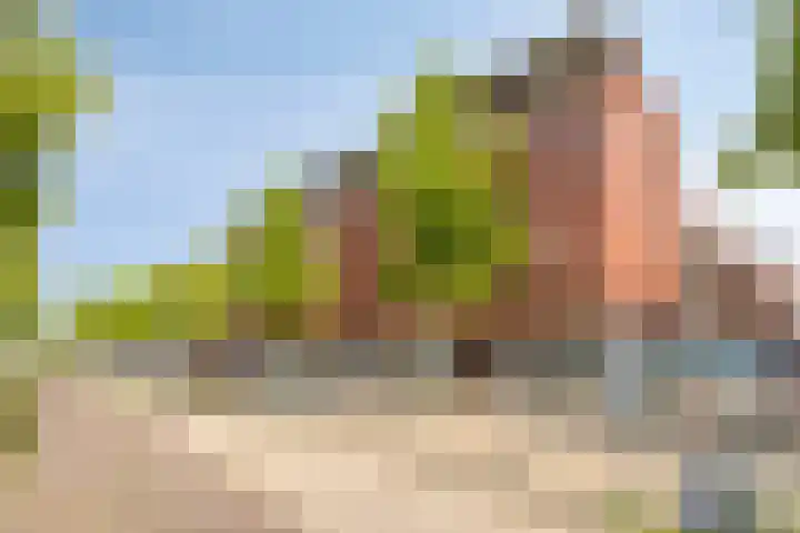 Statenlaan 427 's-Hertogenbosch thumbnail 26