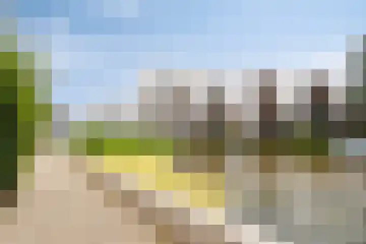 Statenlaan 427 's-Hertogenbosch thumbnail 27