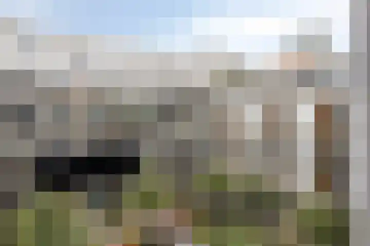 Statenlaan 439 's-Hertogenbosch thumbnail 12