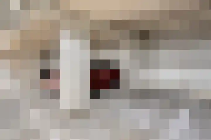 Statenlaan 439 's-Hertogenbosch thumbnail 24