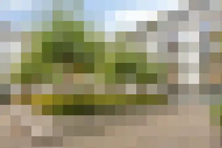 Statenlaan 439 's-Hertogenbosch thumbnail 25