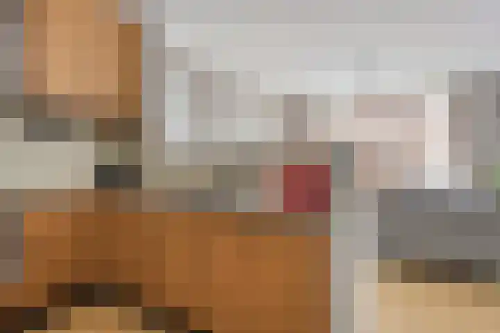 Statenlaan 439 's-Hertogenbosch thumbnail 7