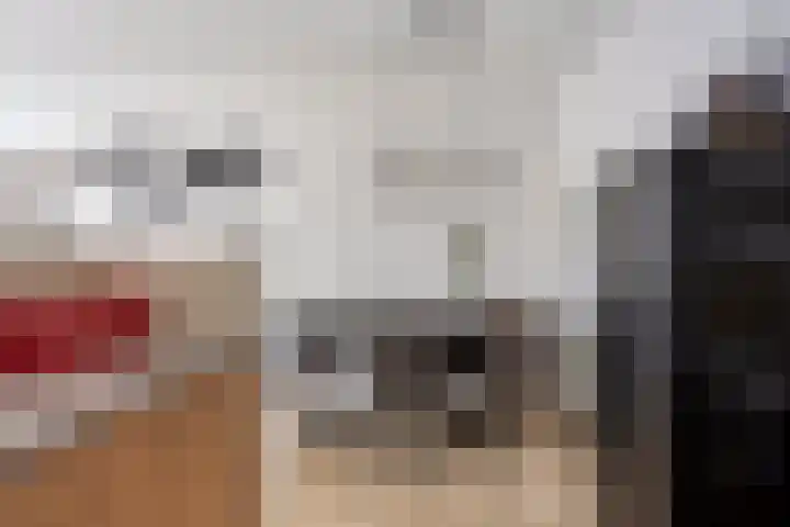Statenlaan 439 's-Hertogenbosch thumbnail 8