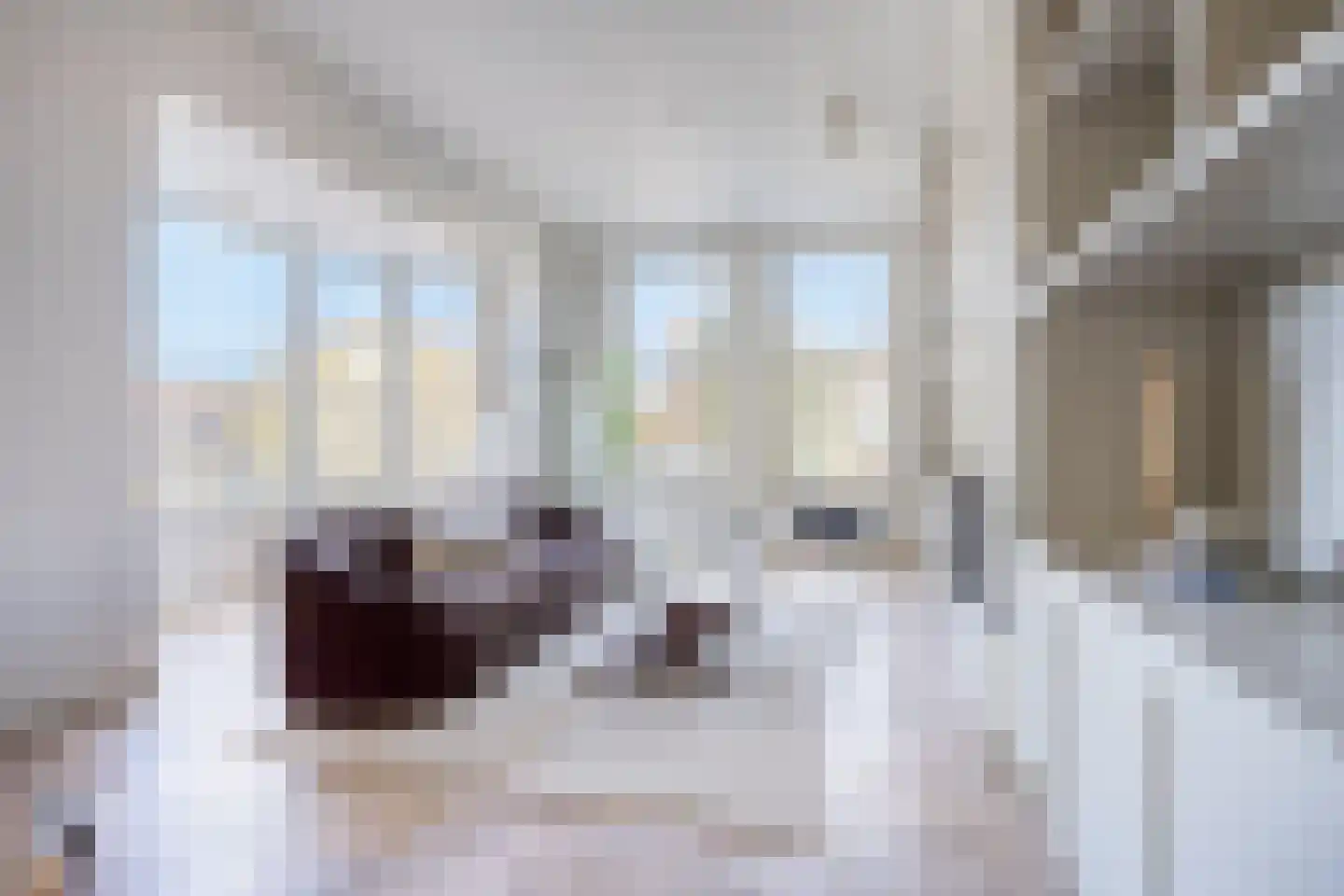 Statenlaan 44 Den Haag thumbnail 16