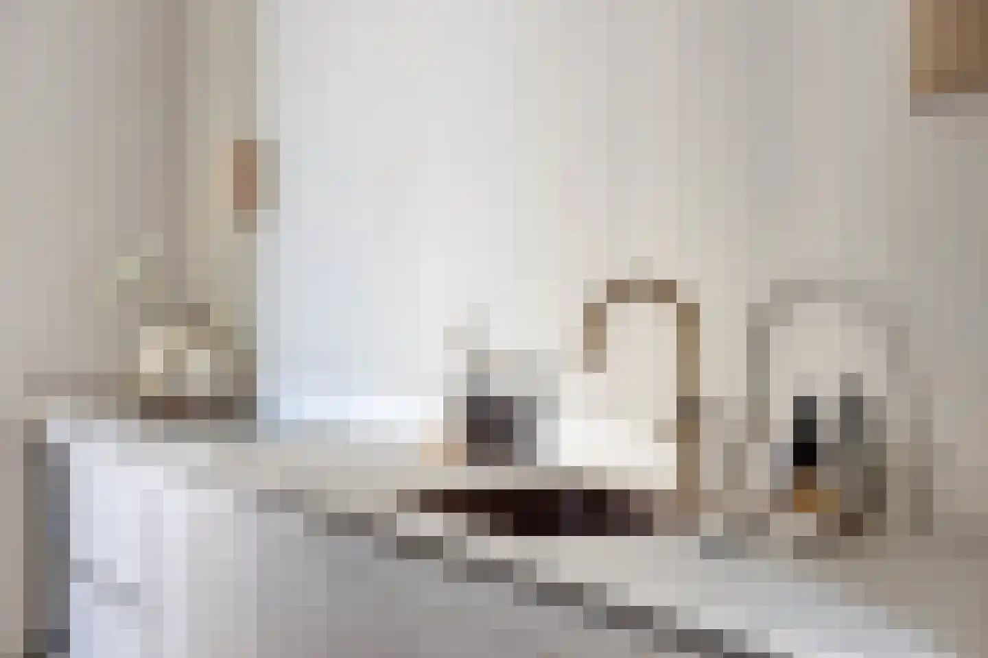 Statenlaan 44 Den Haag thumbnail 31