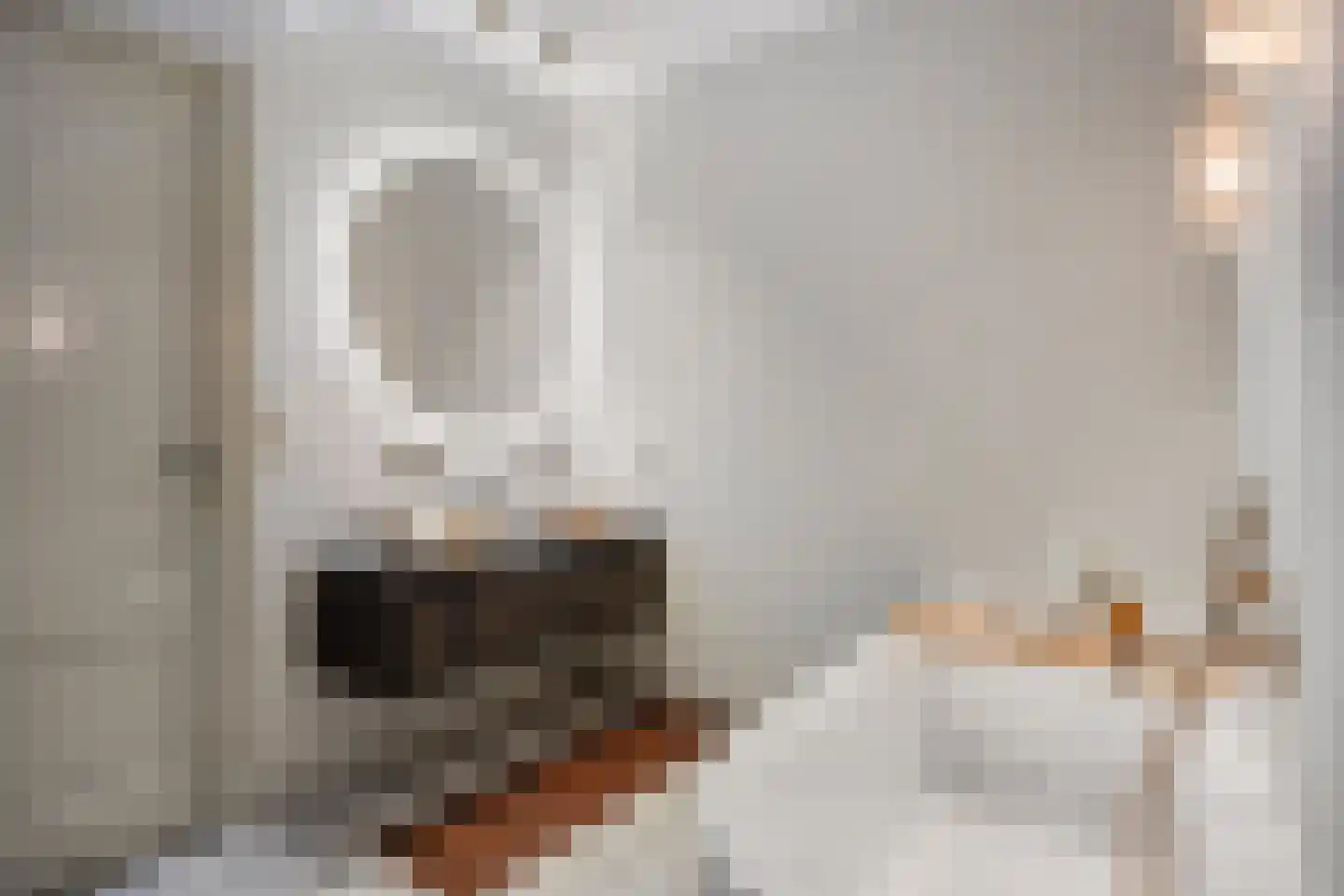 Statenlaan 44 Den Haag thumbnail 43