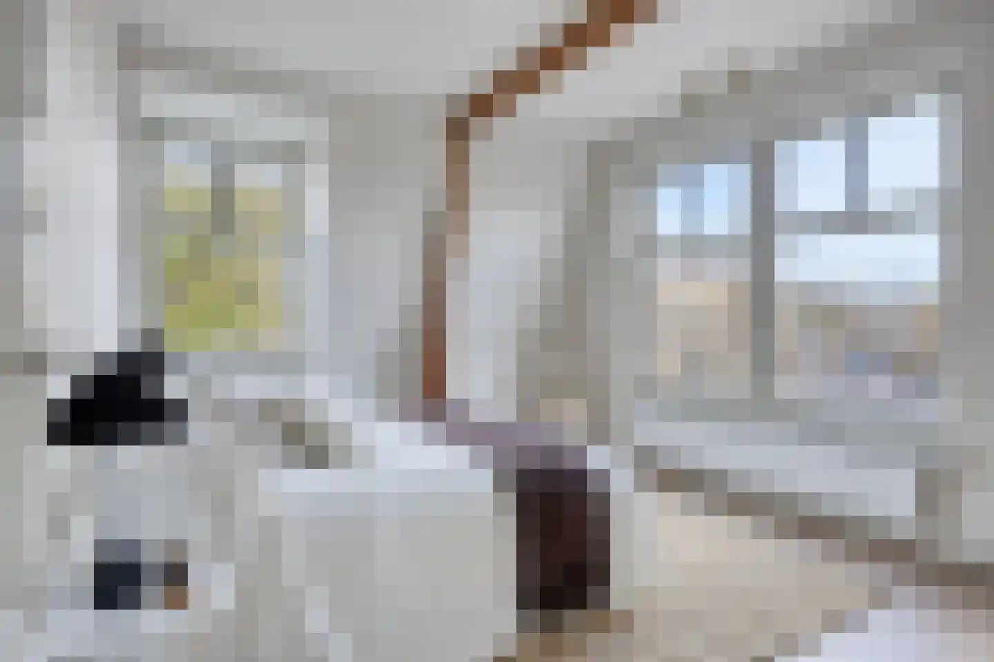 Statenlaan 44 Den Haag thumbnail 49