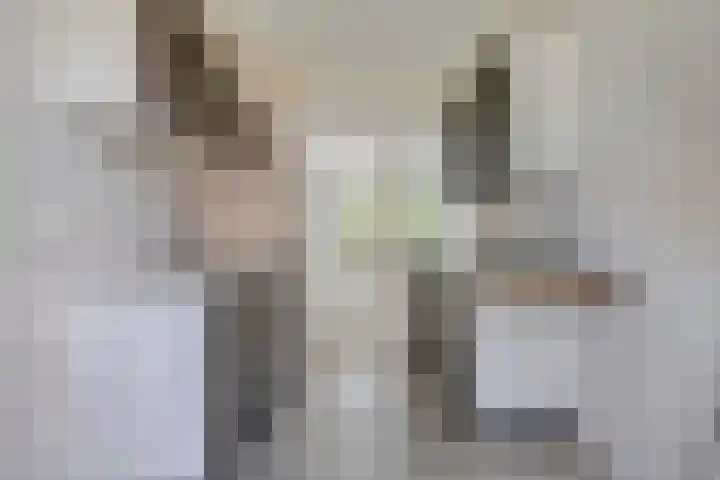 Statenlaan 44 Middelburg thumbnail 11